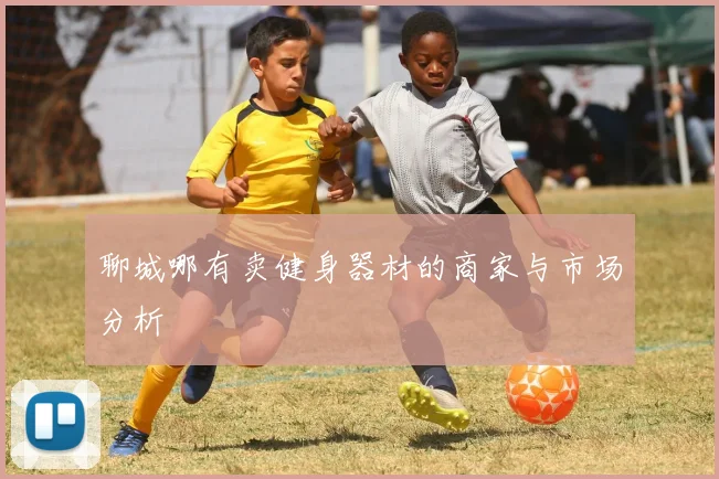 聊城哪有卖健身器材的商家与市场分析