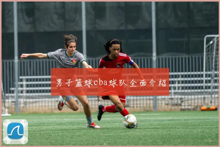 男子篮球cba球队全面介绍