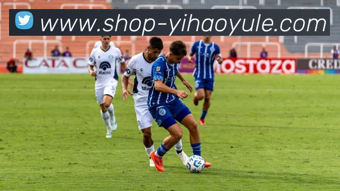 壹号体育平台生态图